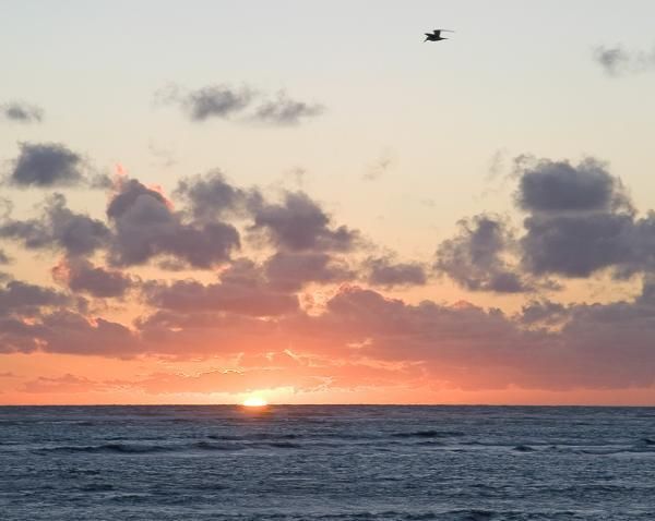 aube-punta-cana.jpg
