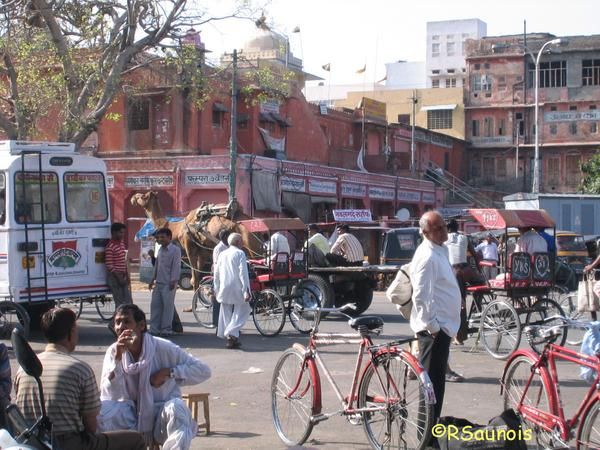 C'est à cela que resemble le traffic dans Jaipur, un joyeux mélange!