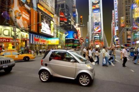 La petite arrive dans le monde des grandes. Sera-t-elle trouver sa place ? La petite arrive dans le monde des grandes. Sera-t-elle trouver sa place ?