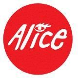 Mais pourquoi Alice ?! Mais pourquoi Alice ?!