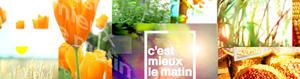 C-est-mieux-le-matin--France-3-Ouest.jpg
