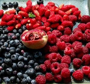 fruitsrouges-copie-1.jpg