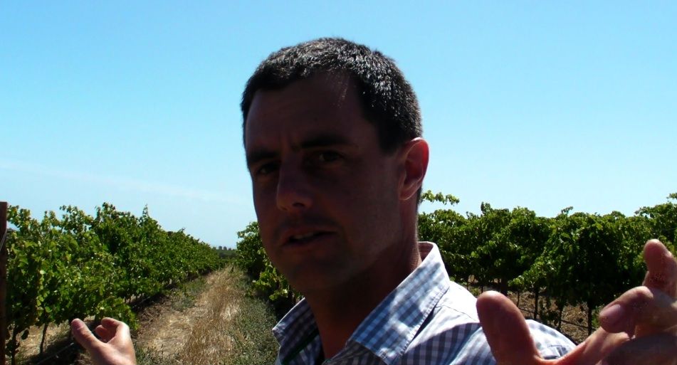 Toby Bekkers, Paxton