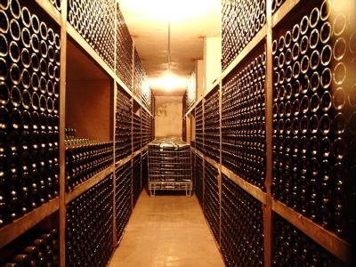 Les caves de vieillissement, Vignelaure, Stéphane Riss