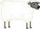 hshsheep2.gif