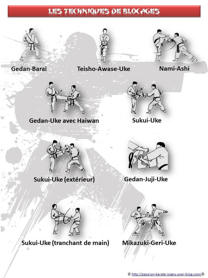 shotokan karate kumite techniques pdf