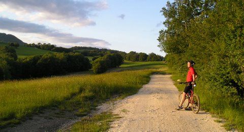 P5290070R.jpg