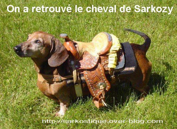 sarkozy-cheval-basset.jpg