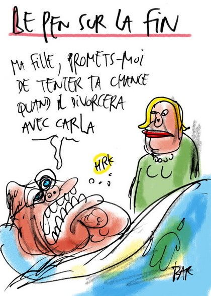 Les calmars et les parasites de la photo
