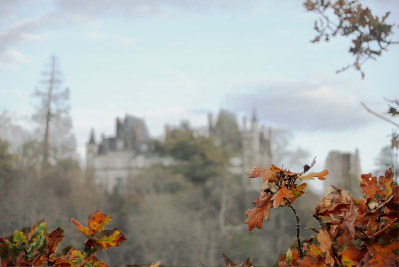 promenons-nous-feuilles-d-automne-devant-le-chateau-de-Las.jpg
