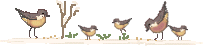 bird_line1.gif