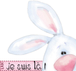 blinkie4.gif