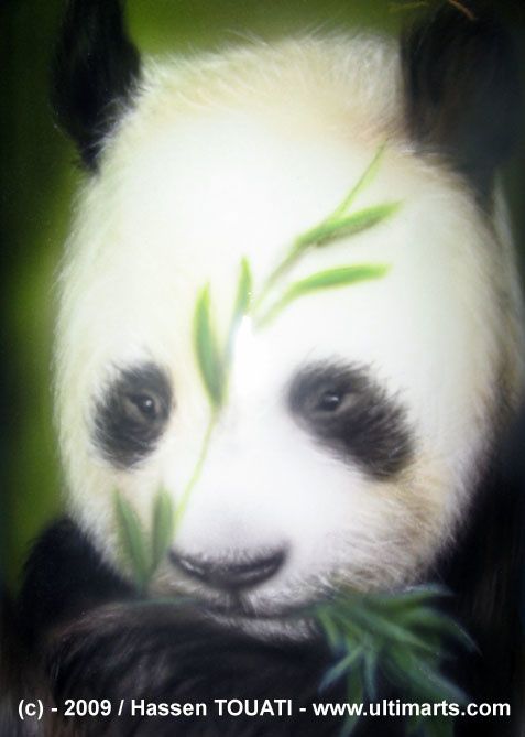 panda-001.jpg