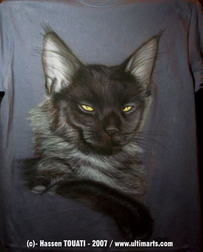 chat-4.jpg