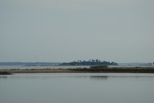 DSC01274.JPG