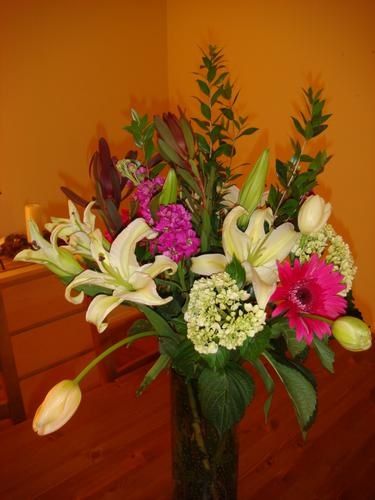 DSC01762.JPG