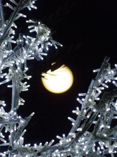 2010 01 02 lune (4)petit