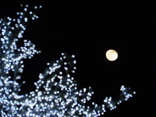 2010 01 02 lune (6)petit