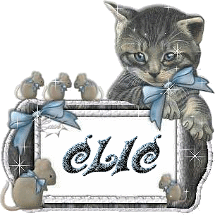 clic-chat.gif