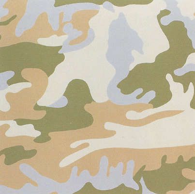 Andy Warhol "Camouflage" détail au Hamburger Banhof