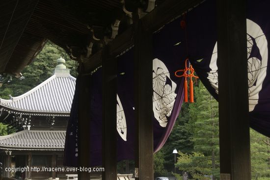 Photos-Kyoto-0.jpg