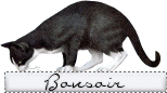 bsrfcn.gif