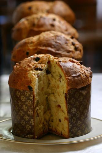 Panettone