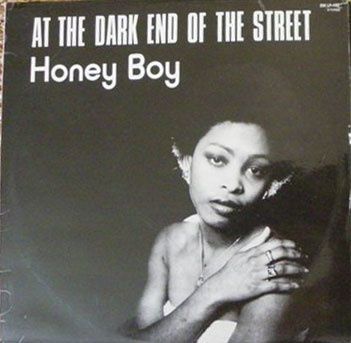 2692866-honey-boy-at-the-dark-end-of-the-street.jpg