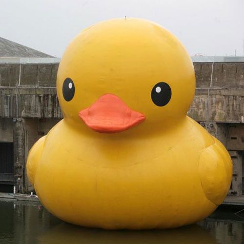 giantduck2.jpg