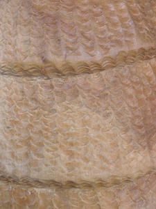 bone-detail_case_dos.jpg