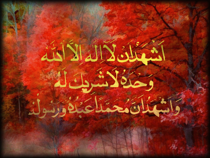 hadith sur la rencontre avec allah