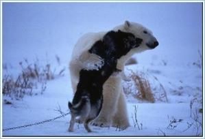 ours3.jpg