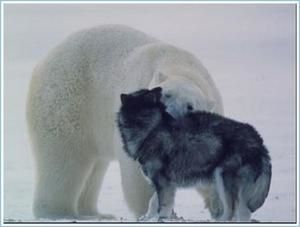 ours4.jpg