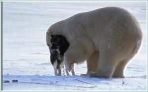 ours5.jpg