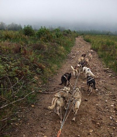 Topaz-Lisa-1er-entrainement-descente-vers-la-brume.jpg