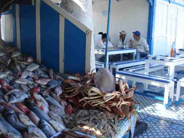 Les-restos-de-poissons-au-port-Essaouira.JPG
