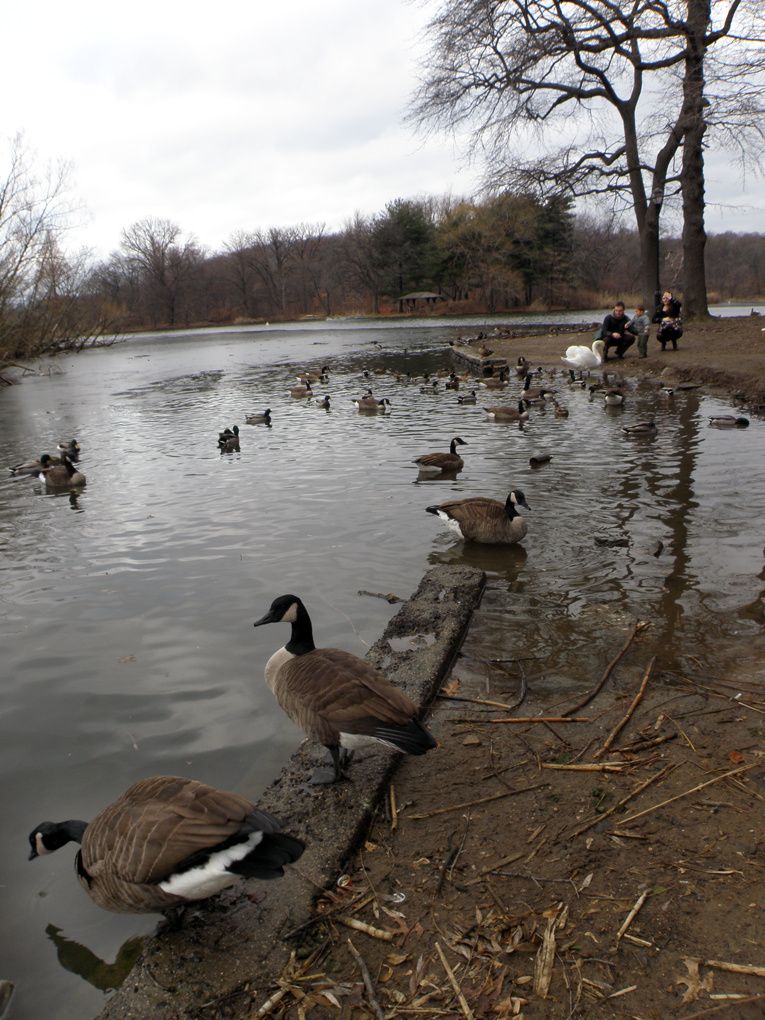 prospect park hindu personals Oshawa (2016 population the grounds of the earlier home had been operated as prospect park hindu: 04% sikh: 04% oshawa is home to the canadian. prospect park hindu personals Oshawa (2016 population the grounds of the earlier home had been operated as prospect park hindu: 04% sikh: 04% oshawa is home to the canadian.