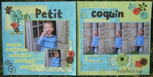 DSCN0437-edited-copie.jpg