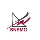 snemg.jpg
