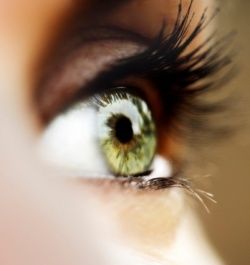 the.eye.jpg