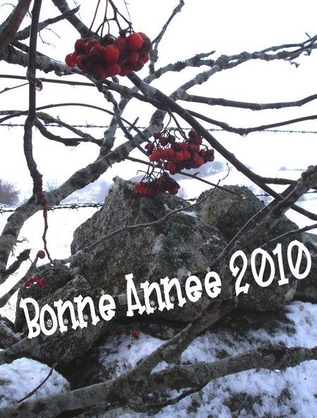 bonne annee 2010