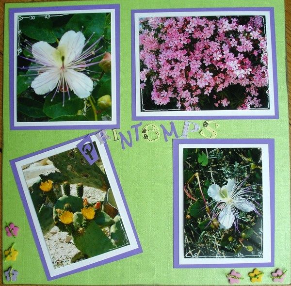 Les-fleurs-de-pierrette.jpg