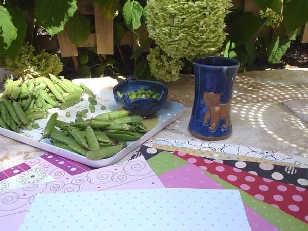 folie-de-petits-pois-002.jpg