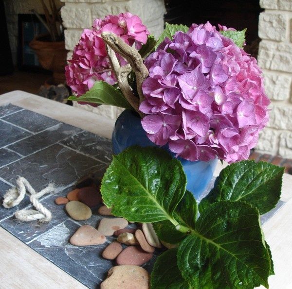 hortensias07-001.jpg