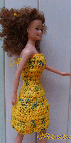 Animat-miss-bouton-d-or.gif