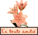 amiti--copie-1.gif