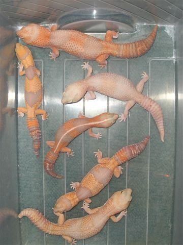 groupe-complet-_5_.jpg