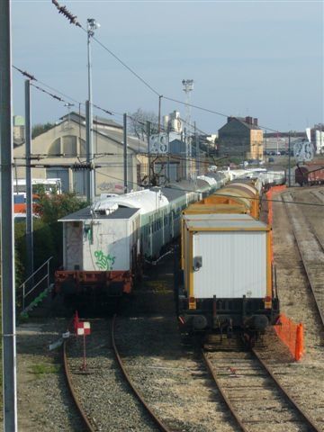 P1100241.JPG