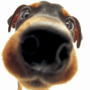 hanadeka.gif