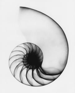 nautilus-pos.jpg